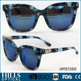 Fashion Plastic Sunglasses HPS725G