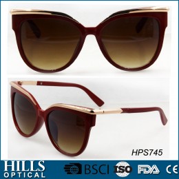 Fashion Plastic Sunglasses HPS745