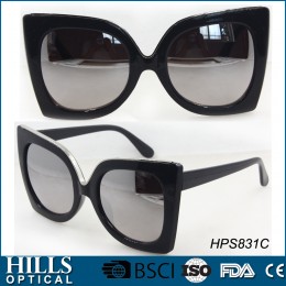 Fashion Plastic Sunglasses HPS831C