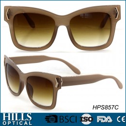 Fashion Plastic Sunglasses HPS857C