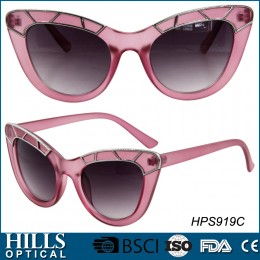 Fashion Plastic Sunglasses HPS919C