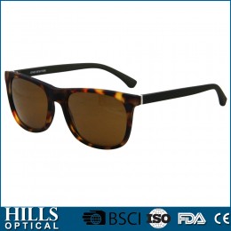 Fashion Plastic Sunglasses HPS974C