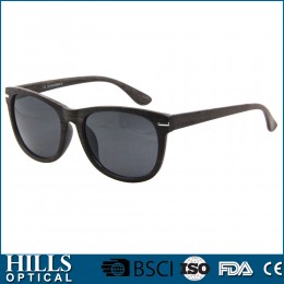 Fashion Plastic Sunglasses HPS975C