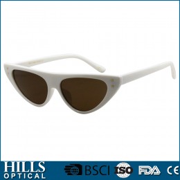 Fashion Plastic Sunglasses HPS1028C