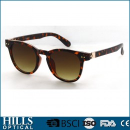 Fashion Plastic Sunglasses HPS2049V