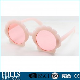 Fashion Plastic Sunglasses HPS1941R